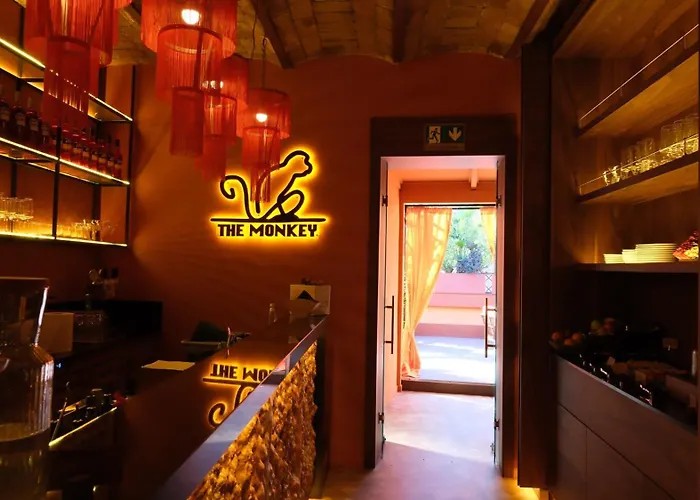 The Monkey Róma
